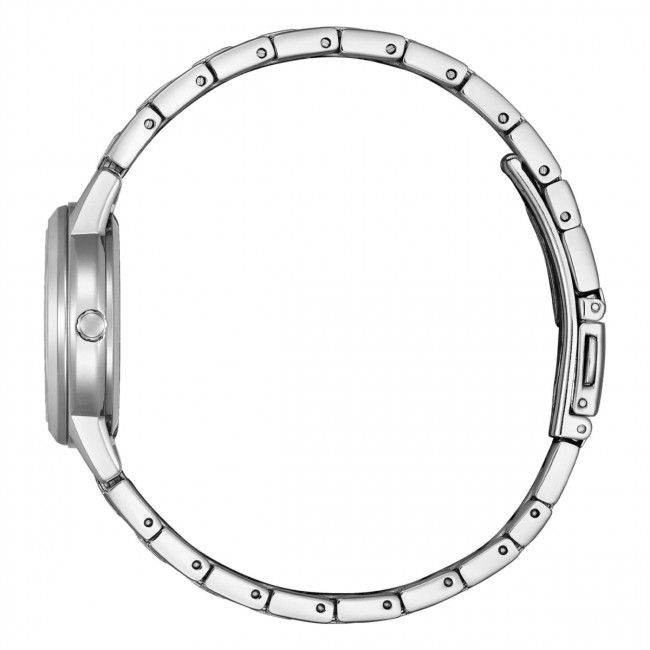 Citizen Lady Eco Drive FE1241-71Z
