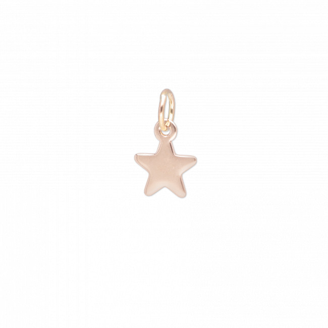 CIONDOLO SIGILLO IN ORO 9KT STELLA CUPIDO PER BRACCIALE TBAR CI157RR 