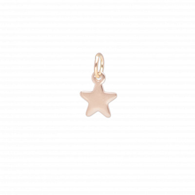 CIONDOLO SIGILLO IN ORO 9KT STELLA CUPIDO PER BRACCIALE TBAR CI157RR 