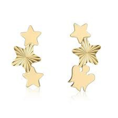 ORECCHINI ORO9KT ROBERTO GIANNOTTI NKT403